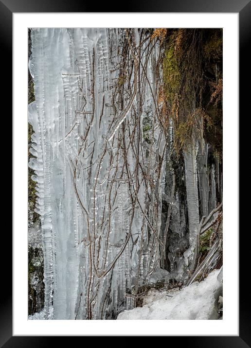 Icicles, No. 5 Framed Mounted Print by Belinda Greb