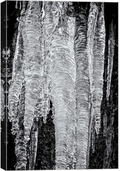 Icicles, No. 2 bw Canvas Print by Belinda Greb