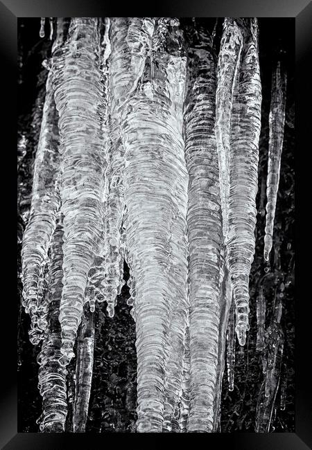 Icicles, No. 2 bw Framed Print by Belinda Greb