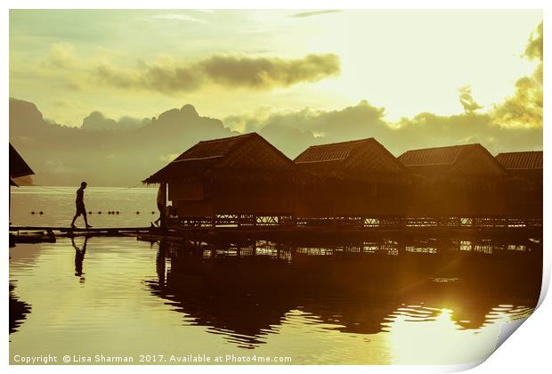 Sun setting over lake Print by  