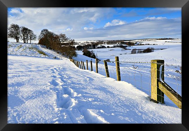 Winter Fields - County Durham Framed Print by David Lewins (LRPS)