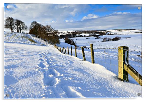 Winter Fields - County Durham Acrylic by David Lewins (LRPS)