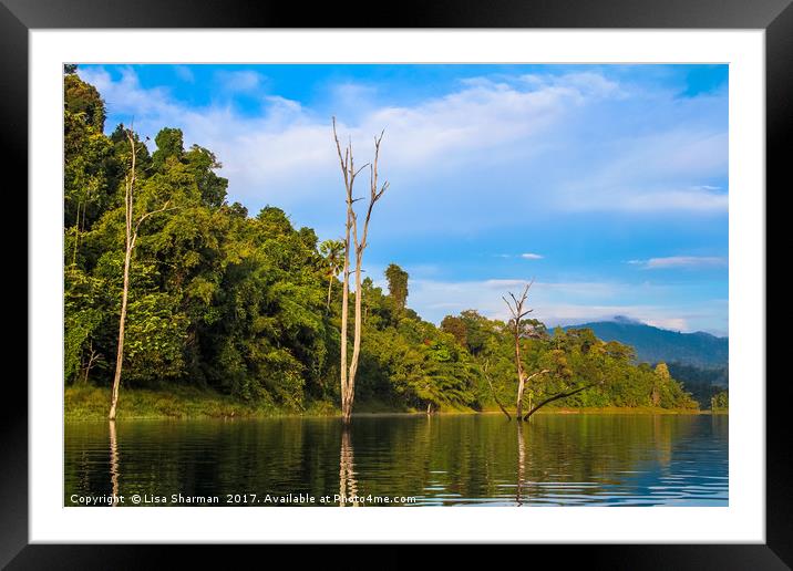 Tropical lake landscape with blue sky background Framed Mounted Print by  