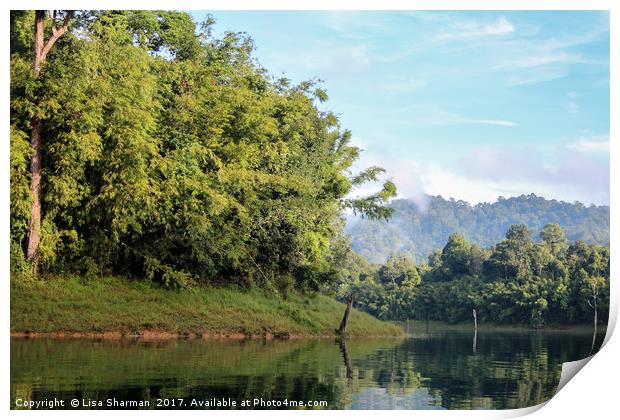 Beautiful lake landscape with jungle covered mount Print by  