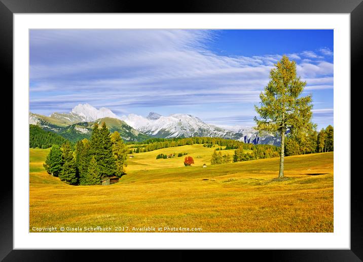 Alpe di Siusi in Autumn Framed Mounted Print by Gisela Scheffbuch