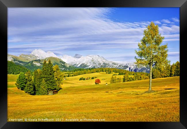 Alpe di Siusi in Autumn Framed Print by Gisela Scheffbuch