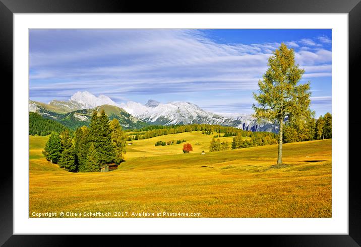 Alpe di Siusi in Autumn - Another Version Framed Mounted Print by Gisela Scheffbuch