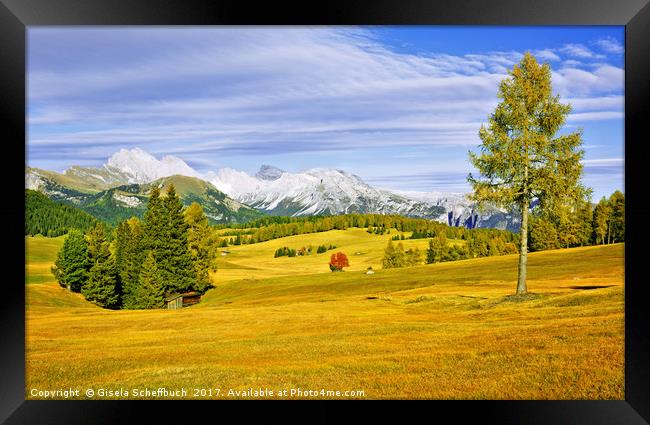 Alpe di Siusi in Autumn - Another Version Framed Print by Gisela Scheffbuch