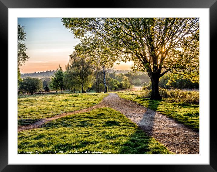 Misty Morning Framed Mounted Print by Colin Stock