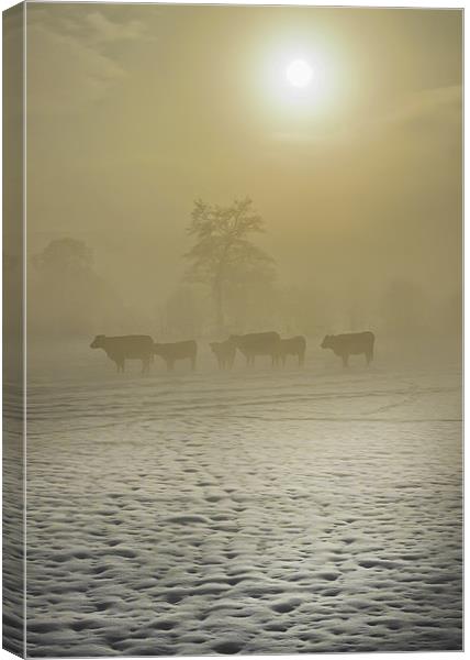 A Cold Misty Day Canvas Print by Jim kernan