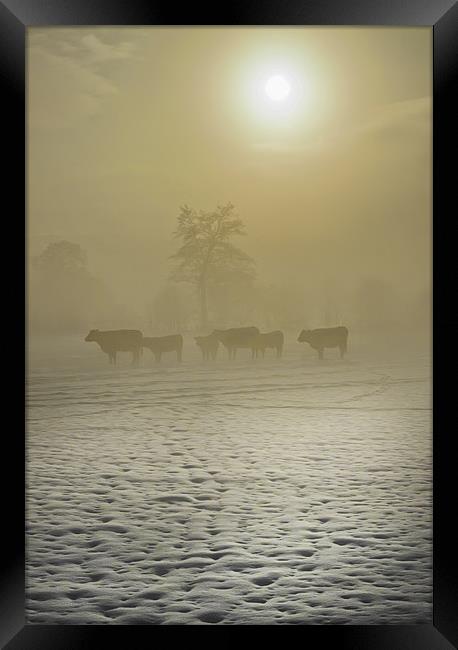 A Cold Misty Day Framed Print by Jim kernan