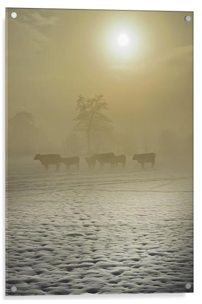 A Cold Misty Day Acrylic by Jim kernan