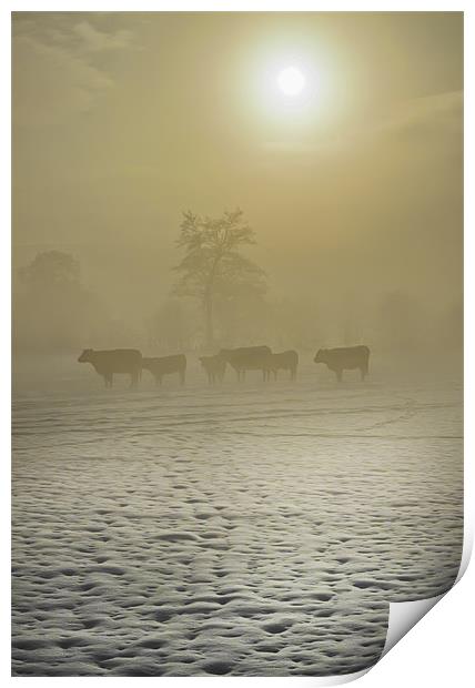 A Cold Misty Day Print by Jim kernan