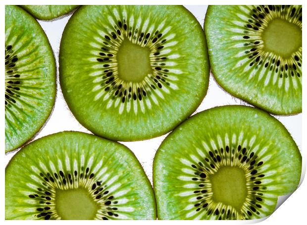 Green  kiwi fruit slices Print by Chris Warham