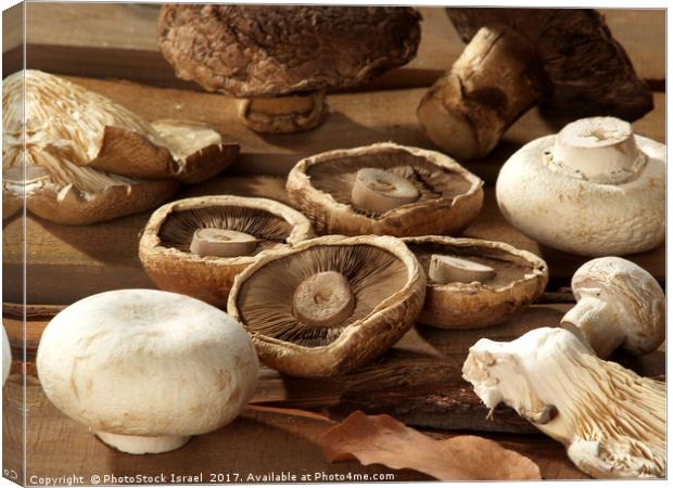 Different types of mushrooms Canvas Print by PhotoStock Israel