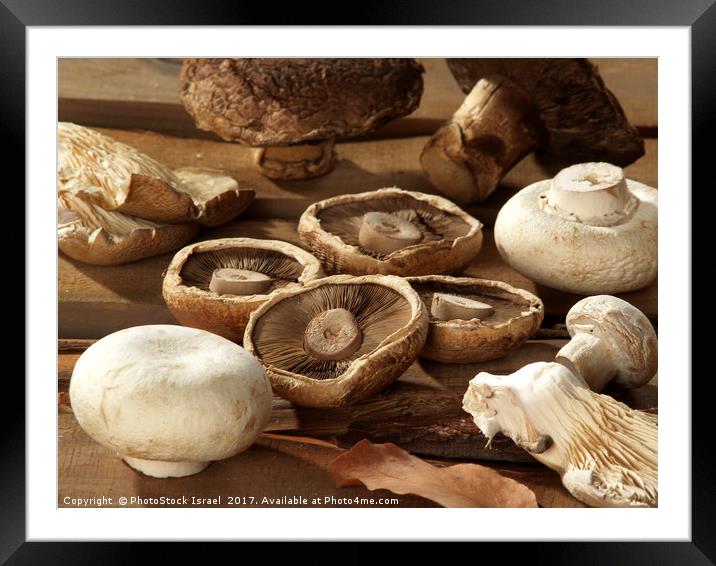 Different types of mushrooms Framed Mounted Print by PhotoStock Israel