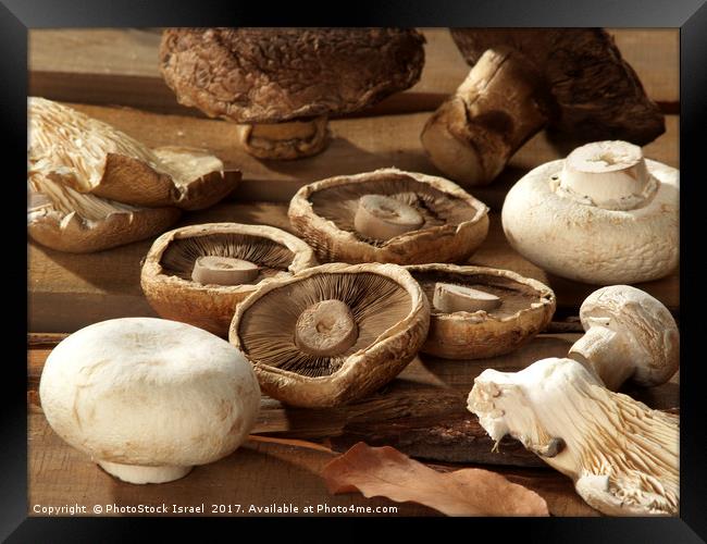 Different types of mushrooms Framed Print by PhotoStock Israel