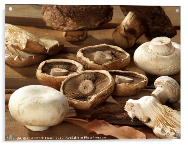 Different types of mushrooms Acrylic by PhotoStock Israel