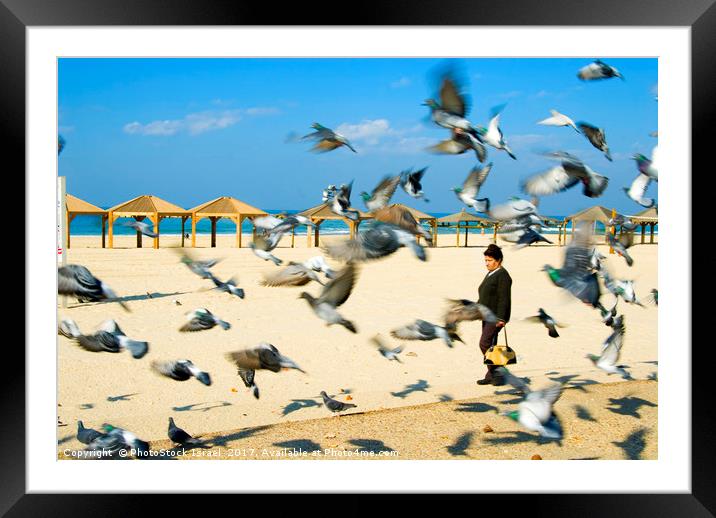 Pigeons on the beach, Tel Aviv, Israel Framed Mounted Print by PhotoStock Israel