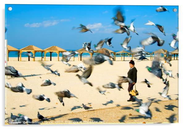 Pigeons on the beach, Tel Aviv, Israel Acrylic by PhotoStock Israel