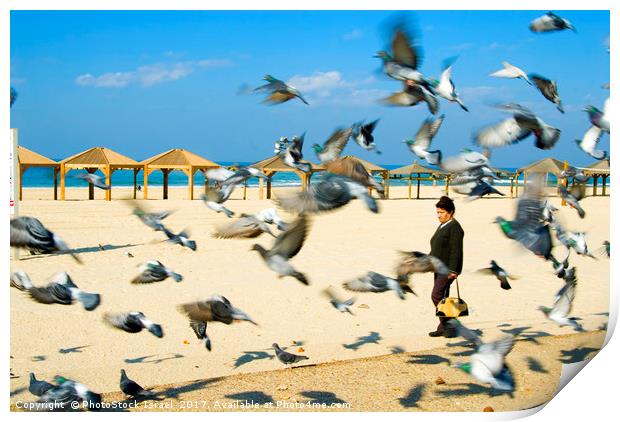 Pigeons on the beach, Tel Aviv, Israel Print by PhotoStock Israel