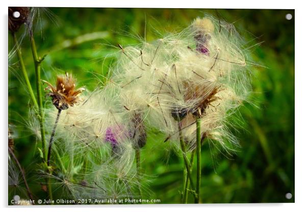 Dandelion seed head blowing in the wind in norfolk Acrylic by Julie Olbison