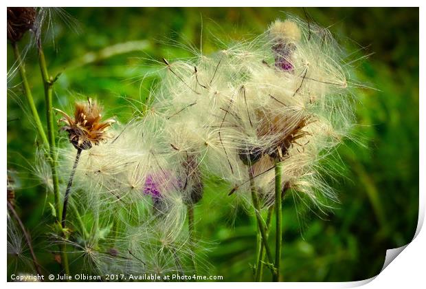 Dandelion seed head blowing in the wind in norfolk Print by Julie Olbison