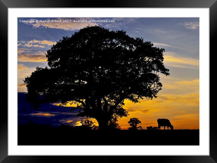 Night Falls on the Farm Framed Mounted Print by Martyn Arnold