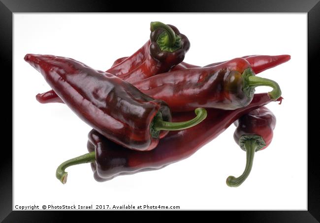 Red peppers Framed Print by PhotoStock Israel