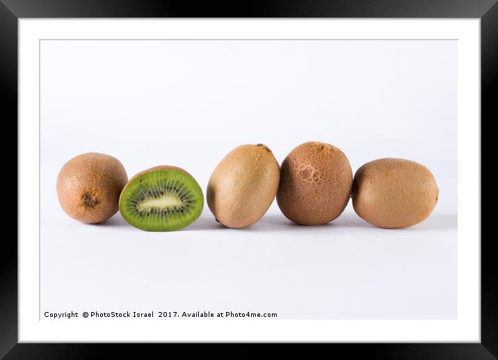Kiwi Framed Mounted Print by PhotoStock Israel