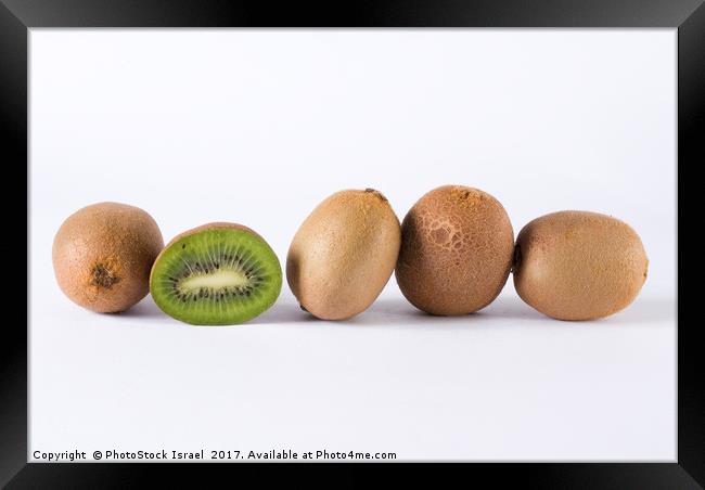 Kiwi Framed Print by PhotoStock Israel