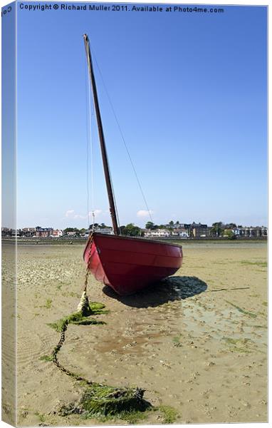 Beached Canvas Print by Richard Muller