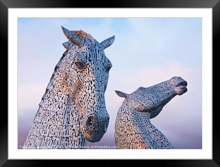 Sunset at the Kelpies Framed Mounted Print by Stephen Taylor