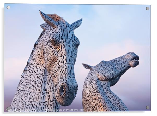Sunset at the Kelpies Acrylic by Stephen Taylor