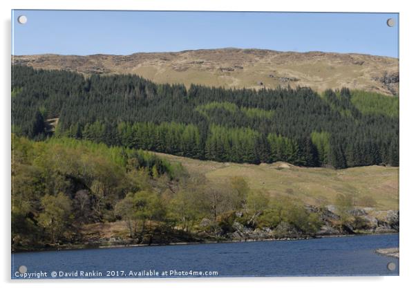 Loch Lubhair , the Highlands , Scotland Acrylic by Photogold Prints