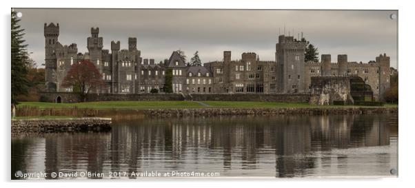 Ashford Castle on Lough Corrib Acrylic by David O'Brien