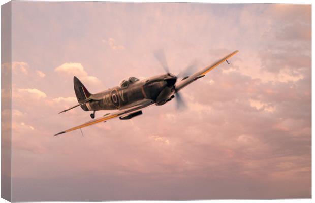 Spitfire TE311 (Mk LF XVIE) Canvas Print by J Biggadike