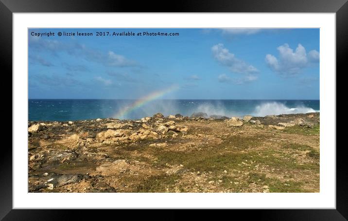 Rainbow in a wave  Framed Mounted Print by lizzie leeson