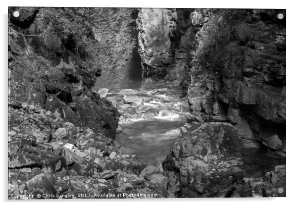 The Bottom of the Coquihalla Canyon, Hope, BC Acrylic by Chris Langley