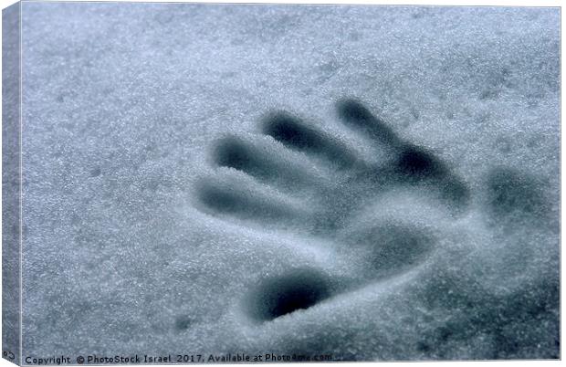 Imprint of a young child's hand in snow Canvas Print by PhotoStock Israel