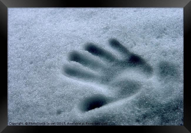 Imprint of a young child's hand in snow Framed Print by PhotoStock Israel