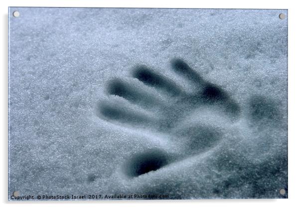 Imprint of a young child's hand in snow Acrylic by PhotoStock Israel
