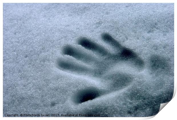 Imprint of a young child's hand in snow Print by PhotoStock Israel