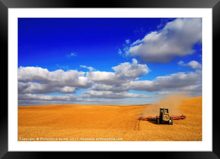 wheat Harvesting Framed Mounted Print by PhotoStock Israel