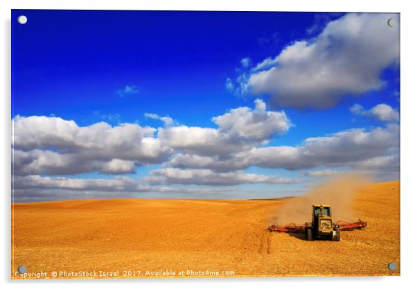 wheat Harvesting Acrylic by PhotoStock Israel