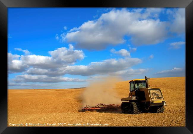 wheat Harvesting Framed Print by PhotoStock Israel