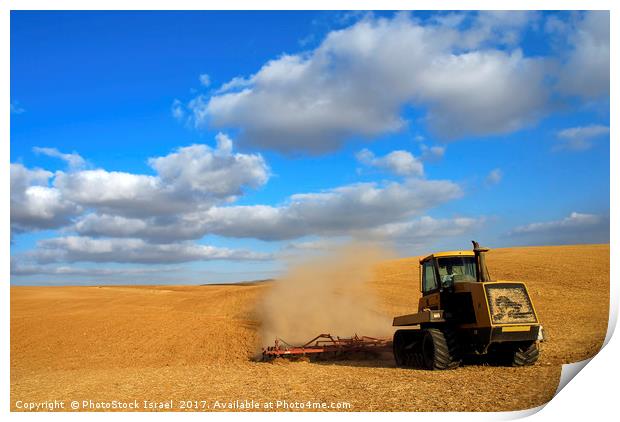 wheat Harvesting Print by PhotoStock Israel