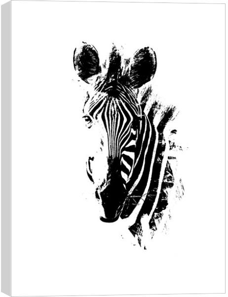 Zebra Portrait Canvas Print by Graham Fielder