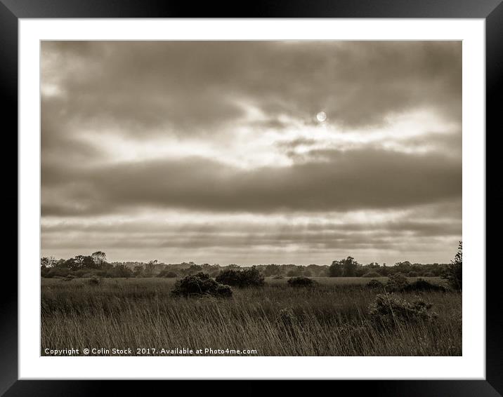 Rays Over The Wetlands Framed Mounted Print by Colin Stock