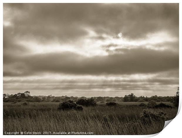 Rays Over The Wetlands Print by Colin Stock